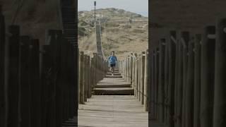 Walking daily #shorts #viralshorts