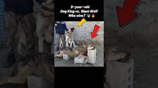 Legendary Dog Battles Giant Wolf in Epic Showdown  #Shorts #viralvideo