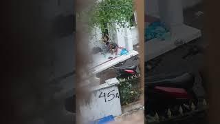 kelakuan bocil jaman now : jam sekolah malah?!!