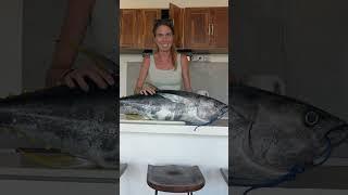 Marlin Attacks Tuna (catch & cook)