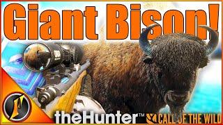 Our BIGGEST Animal EVER! | GIANT Diamond Wood Bison in Call of the Wild!