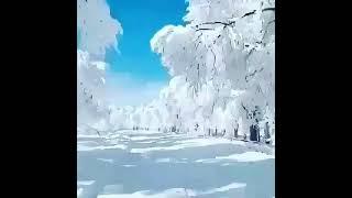 31 января 2021 г.