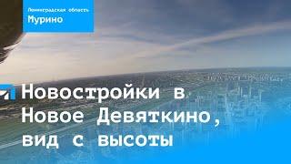 Новостройки в Новое Девяткино, Мурино, Бугры. Вид с высоты