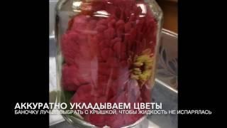 КОНСЕРВИРОВАНИЕ ЦВЕТОВ