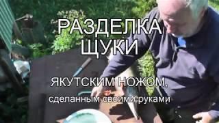 Разделка щуки самодельным якутским ножом