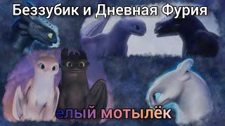 беззубик и Дневная Фурия - елый мотылёк