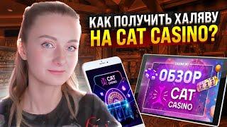  ЧЕСТНОЕ Мнение о КЭТ КАЗИНО - Стоит ли Играть, Где Искать ЗЕРКАЛО Cat Casino