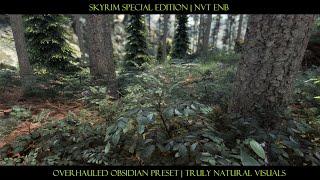 SkyrimSE (4K) | Overhauled  NVT ENB- Obsidian  | Truly Natural & Lush Forest