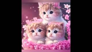 Cute Cat Dp'z//Beautiful Cat Dp'z For Cat Lovers||