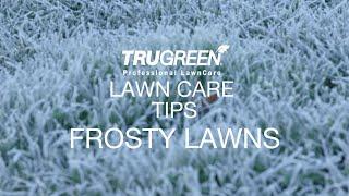 TruGreen | Lawn Care Tips | KEEP OFF THE LAWN DURING A FROST