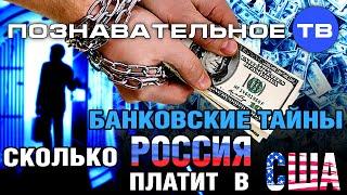 Банковские тайны: Сколько Россия платит в США? (Познавательное ТВ, Дмитрий Еньков)
