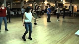 Linedance Lesson Go Seven Choreo. Ria Vos  Music Seven Lonely Days by Bouke