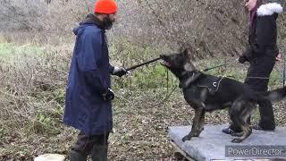 ДМИТРИЙ ЗАЙЦЕВ в Новосибирске ️