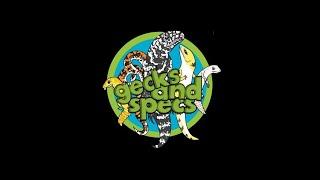 GecksandSpecs and Friends Podcast Episode 7: Radiant Reptilia