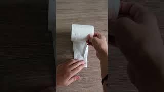  How to Fold Toilet Paper Origami Like a Fancy Hotel #"shorts