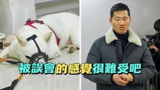 狗狗向丈夫吠叫5年，夫妻關係差點因此破碎，訓犬師為狗狗伸冤後，傳授起了成功婚姻的秘訣