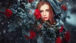 Song to the moon - Andre' Rieu