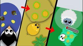 Mope.io - HOW TO EVOLVE FAST - Tips to get XP fast after update!