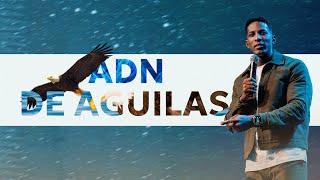 ADN DE AGUILAS | Pastor Moises Bell