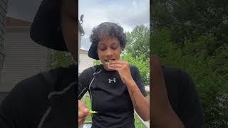Ghetto Garden tour + TASTE testing!!!🫛 #zone6b #garden #mybackyardgarden #plants #diygarden