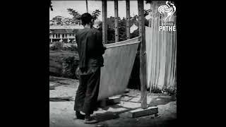 Noodle Master  #history  #vintage  #china  #food  #skills