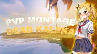 pvp montage | montage | prostocraft | sunrise | mst | reallyworld