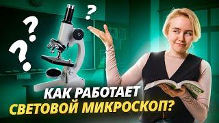 Строение светового микроскопа, приготовление и изучение препарата | Биология ОГЭ | Умскул