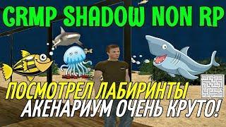 [CRMP] SHADOW NON RP - ПОСМОТРЕЛ ЛАБИРИНТЫ, АКЕНАРИУМ ОЧЕНЬ КРУТО!