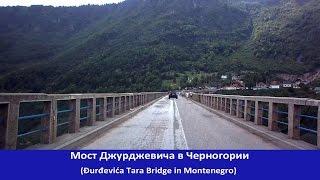 Мост Джурджевича через Тару (Đurđevića Tara Bridge)  [MNE]