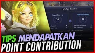 Guide Cara Cepat Dapat Exp Contribution | Black Desert Mobile