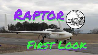 Clever Girl - Raptor Aircraft Prototype First Look - Wasabi Flight Test