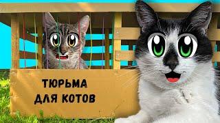 ПОБЕГ ИЗ ТЮРЬМЫ ЧЕЛЛЕНДЖ! КТО ПОСЛЕДНИЙ покинет КАРТОННУЮ ТЮРЬМУ кот МАЛЫШ или ЯНИ? 24 Часа ЧЕЛЛЕНДЖ