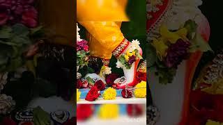 Mere banke bihari lal #krishna #bhakti #hindu #vrindavan #viral #shorts #viralvideo #youtubeshorts