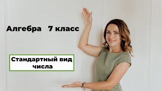 Стандартный вид числа