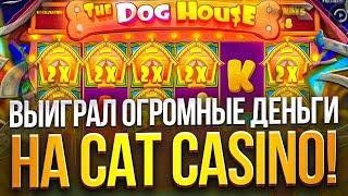  СЕКРЕТЫ ВЫИГРЫША НА КЭТ КАЗИНО - Онлайн Слоты CAT CASINO