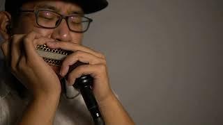 Chromatic Harmonica. Gypsy jazz Dark Eyes+Csardas【Oritta customized harmonica AD-14】口琴演奏查尔达什舞曲+黑眼睛