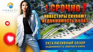 ️Срочно️ Инвесторы скупают недвижимость в Боаз Эксклюзивный обзор |Недвижимость Северного Кипра