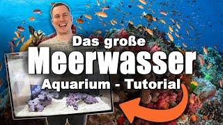 The saltwater tank TUTORIAL- *low budget* + sustainable *english subtitles*