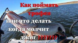 как поймать трофея если молчит джиг?