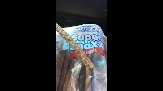 Super Snaxx Naturals with "safe" hide almost killed my dog.  Do not feed this to your dog!