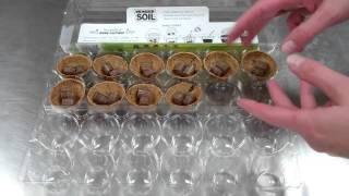 Terroir Seeds LLC presents TheWonderSoil Sprout House