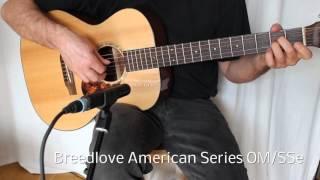 Martin vs Eastman vs Breedlove Fingerstyle Guitar Sound Comparison
