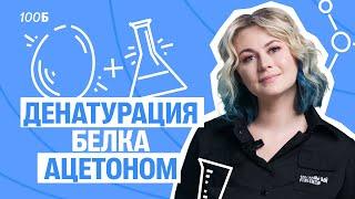 Денатурация белка ацетоном | Биология ЕГЭ | Ксения Напольская