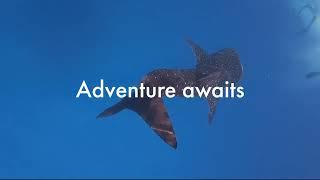 Maldives Travel Wizard - Breathtaking adventures in Indian Ocean