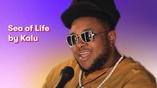 Kalu - Sea of Life  |  ACL Music Fest  |  JoyRx Music