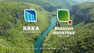 Krka, Wild nature: Fishes