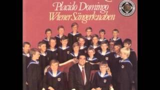 Placido Domingo 11. A Mighty Fortress Is Our God (Ein feste Burg).