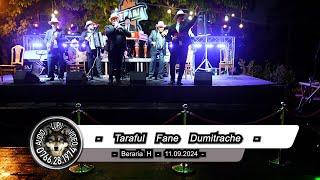 Taraful Fane Dumitrache - Beraria H - Program de petrecere cu Fane Dumitrache - 11.09.2024