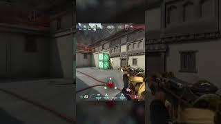 Tried an edit with rsmb #val #valorant #content #ace #clip #clipped #jett #5k #godmode #aimgod #aim