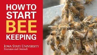 How to Start Beekeeping